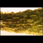 Chrome detail 2x4 in.jpg